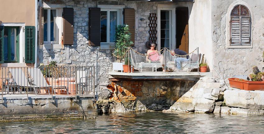 The Hitman's Wife's Bodyguard (2019) [6]