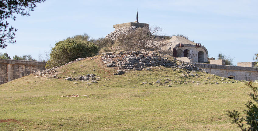 RTL show Fittest family [4]