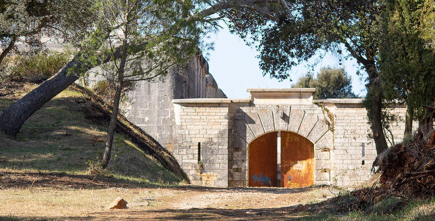 RTL show Fittest family [3]