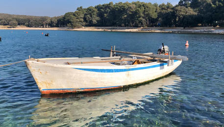 RTL show Fittest family