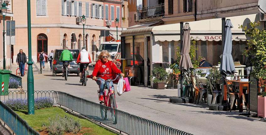 The Hitman's Wife's Bodyguard (2019) [13]