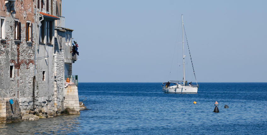 The Hitman's Wife's Bodyguard (2019) [14]