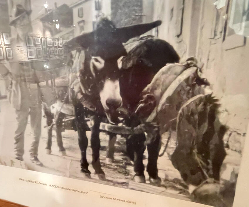 La exposición fotográfica ''Gente di Valle d'Istria'' [5]