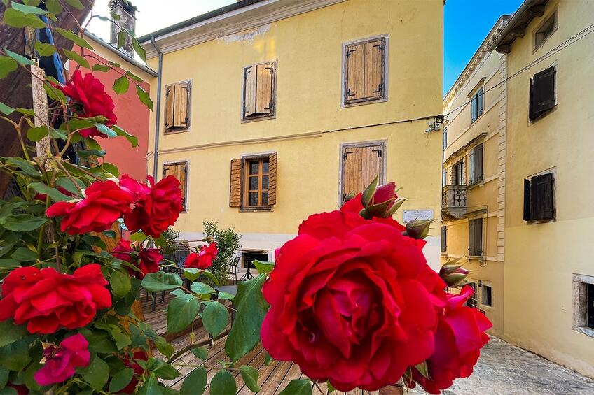 Apertura del Giardino dell'Eden