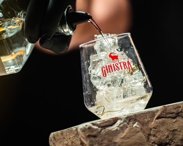 GinIstra 2026 in Rovinj