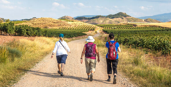 "Camino Primitivo" in my steps