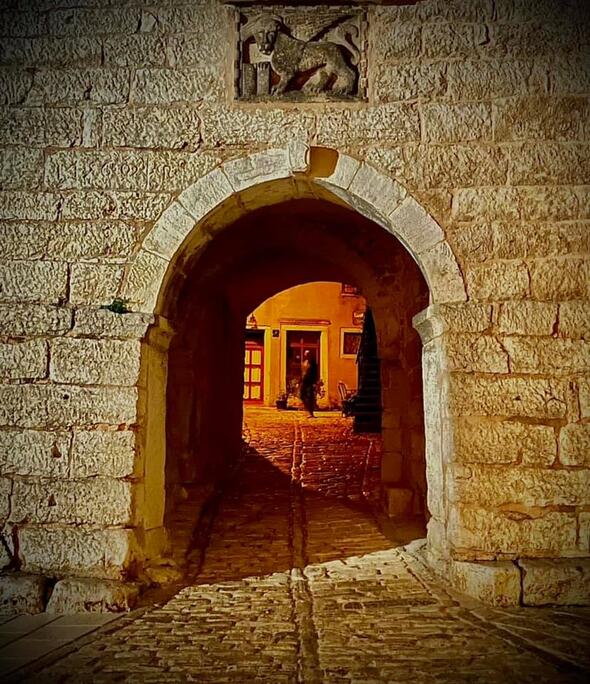 Salito animato Salito animato