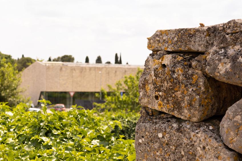 Modular Homes Expo Bale: Cultivar el ingenio sostenible, Sportska dvorana [2]