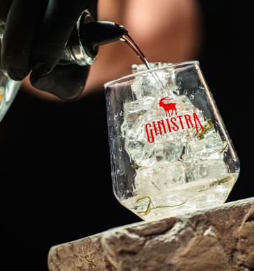 GinIstra 2026 u Rovinju