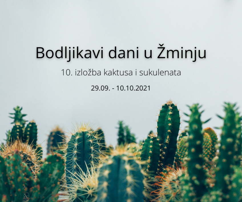 Bodljikavi dani u Žminju 29.9. - 10.10.2021.