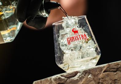 GinIstra 2026 u Rovinju