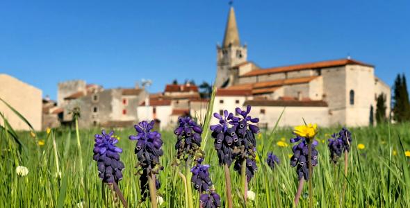 Giorni aromatici