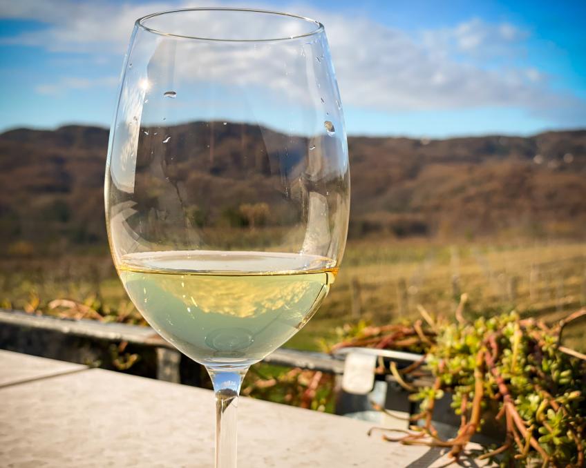 Fešta mladega vina 2026: junge istrische Weine in Svetvinčenat