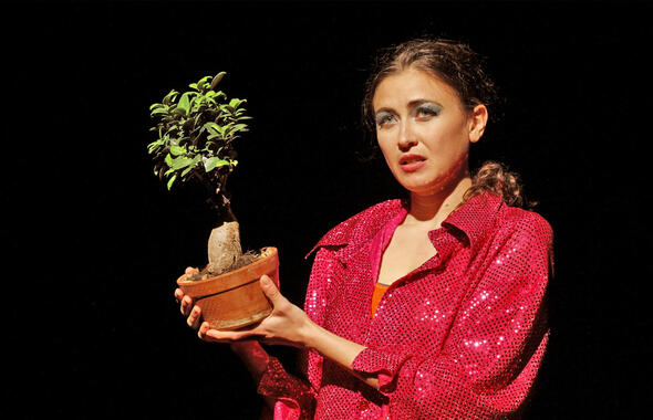 Il Bonsai ha i rami corti