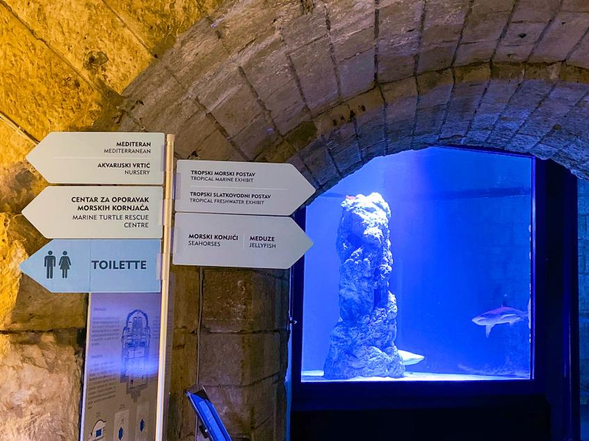 Aquarium Pula, Pula – Pola [8]