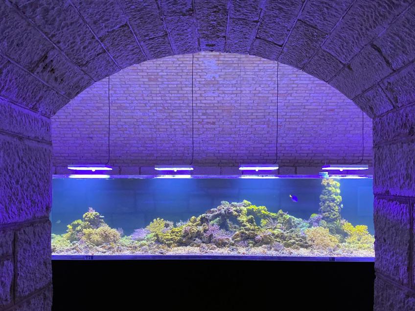 Aquarium Pula, Pula – Pola [12]
