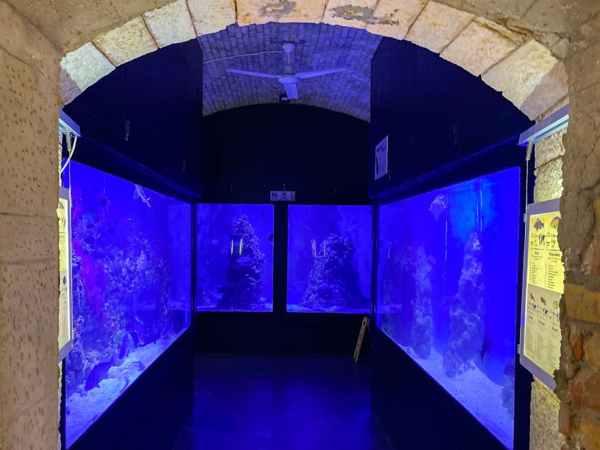 Aquarium Pula, Pula – Pola [14]