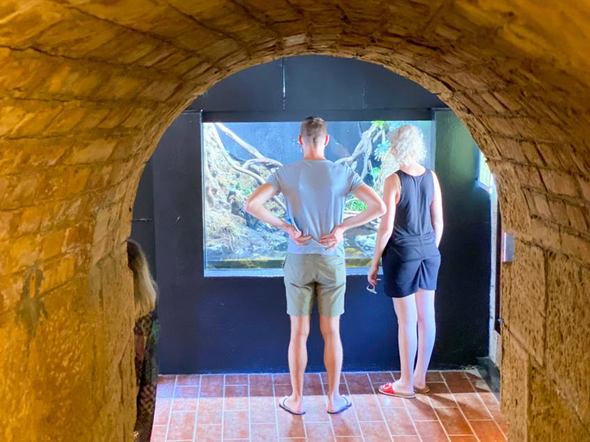 Aquarium Pula [7]