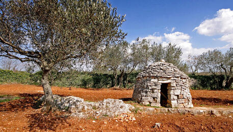 Park Kažuna v Vodnjanu Park Kažuna v Vodnjanu