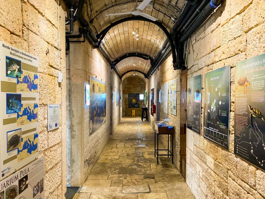 Aquarium Pula, Pula – Pola [18]