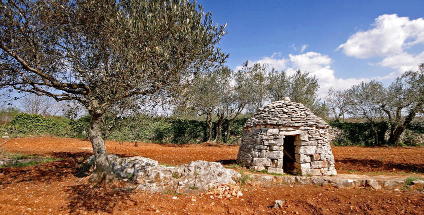 Parco delle casite Dignano