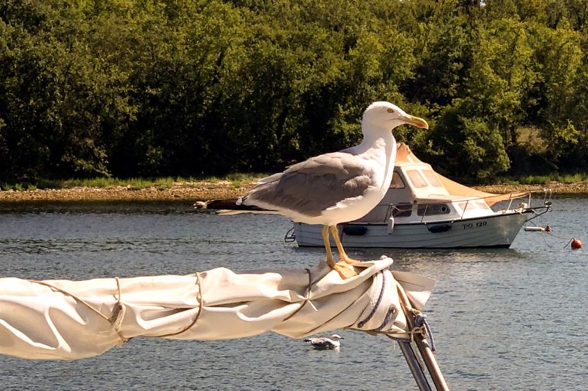 Madalu restaurant [5]