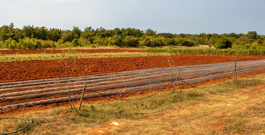 OPG Božić, Bale [5]