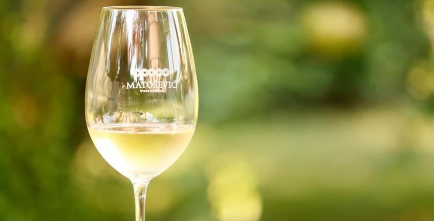 Azienda Vinicola Matošević [4]
