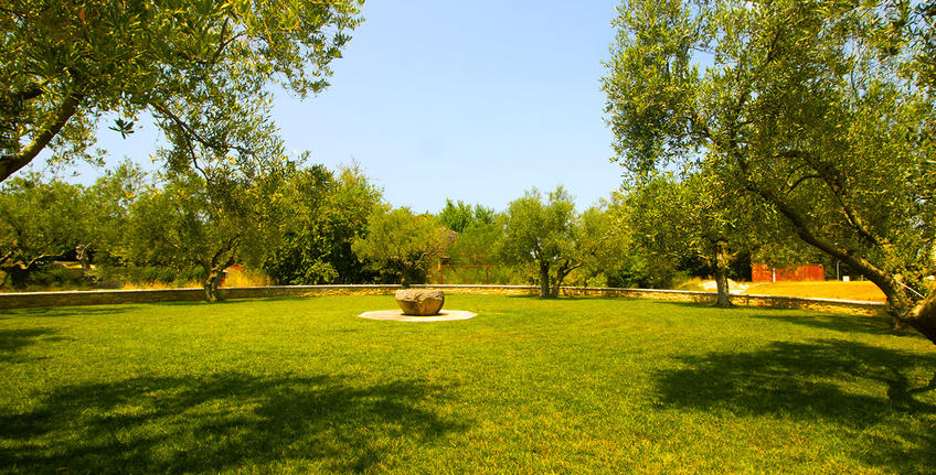 Vinarija Coronica [3]