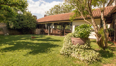 Restaurant Lav Restaurant Lav