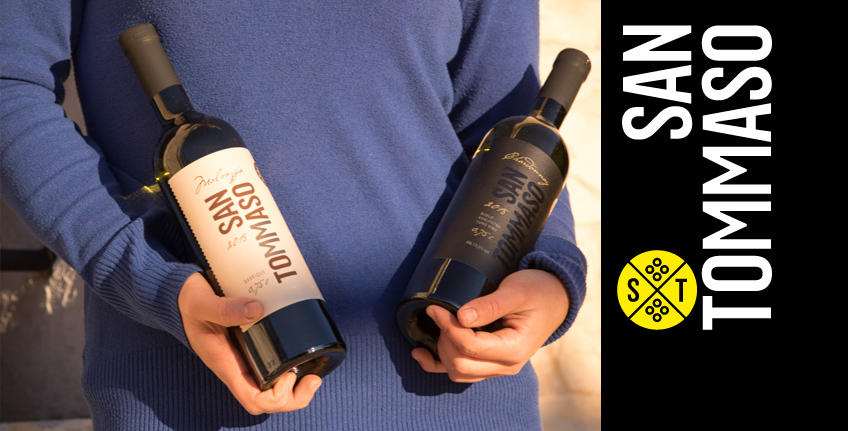 Winery San Tommaso [3]