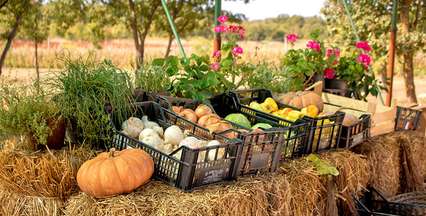 OPG Božić, Bale [2]