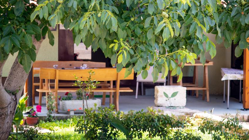 Maur - Olivenölproduzent, Bale [6]