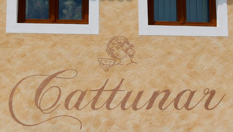 Wijnmakerij Cattunar
