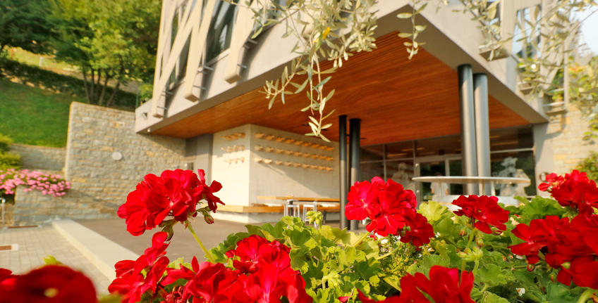 Azienda Vinicola Kozlović [5]