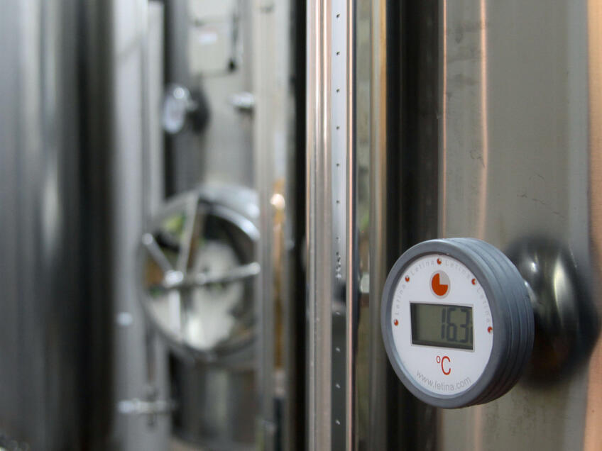 OPG Lupić - Proizvođač maslinovog ulja Bembo [6]