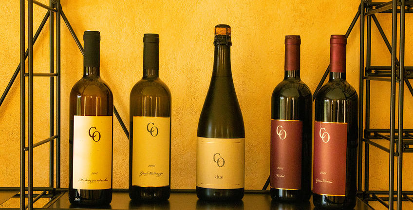 Vinarija Coronica [2]