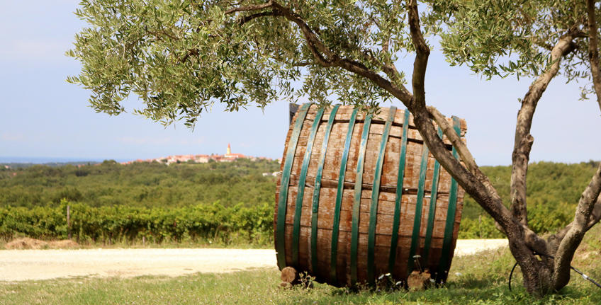 Wijnmakerij Cattunar [8]