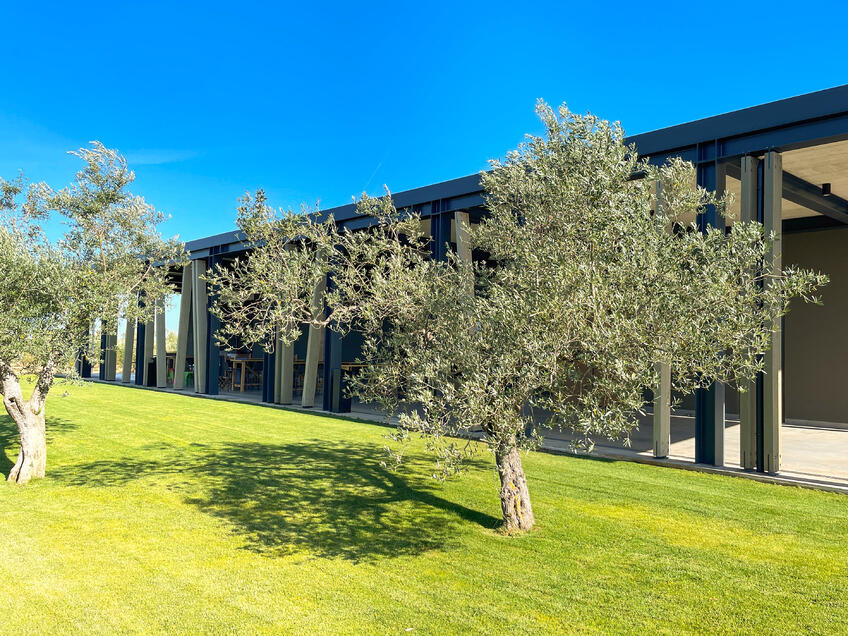 Olijfoliemolen Chiavalon [3]