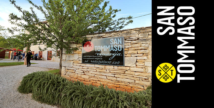 Winery San Tommaso [8]