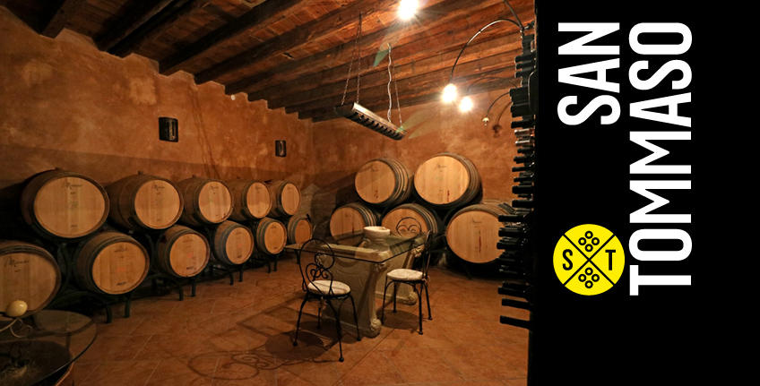 Winery San Tommaso [2]