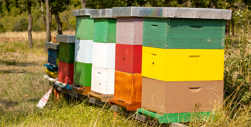 OPG Božić, Bale [7]