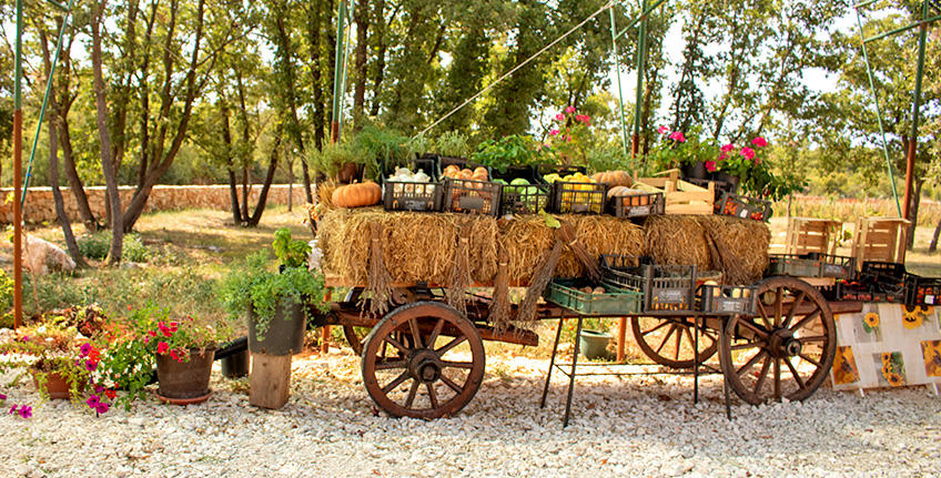 OPG Božić, Bale [4]