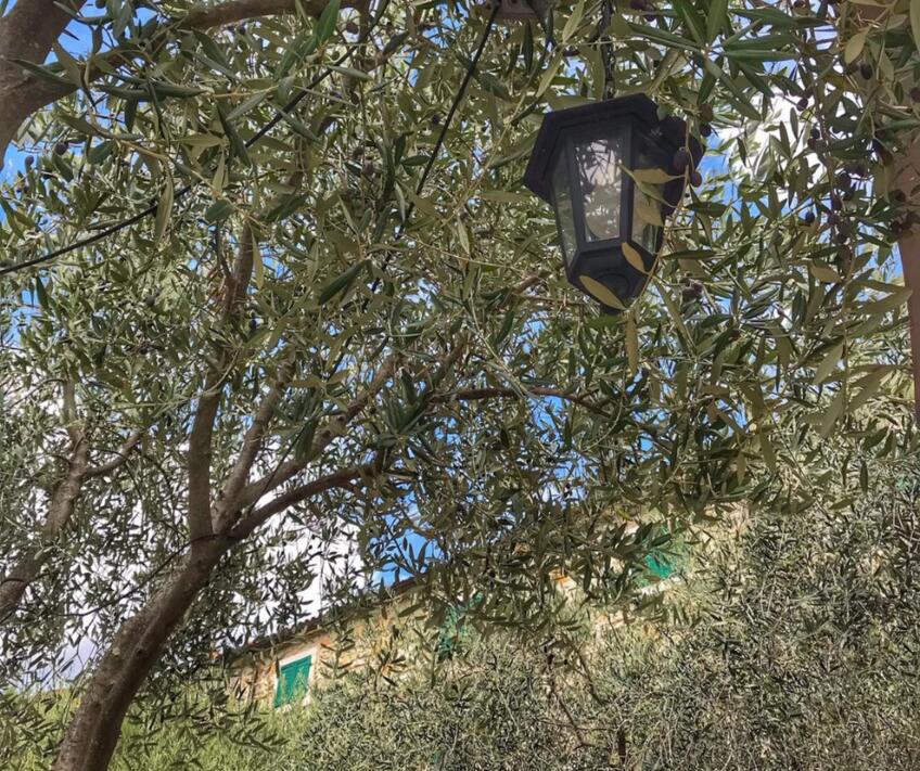 Restaurant La Parenzana [2]