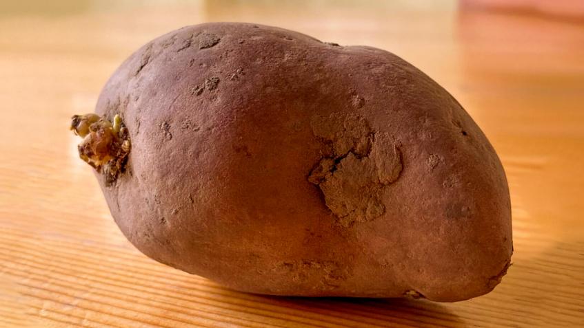 Restavracija 2. peron [10]