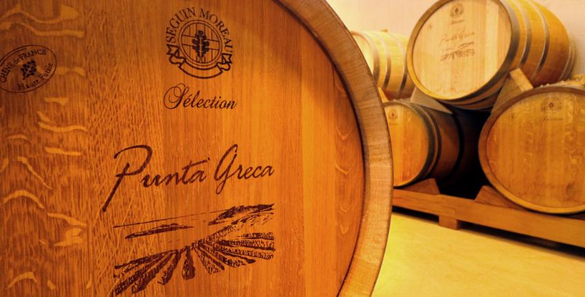 Vinarija Medea [6]