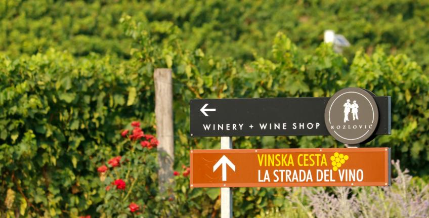 Azienda Vinicola Kozlović [3]