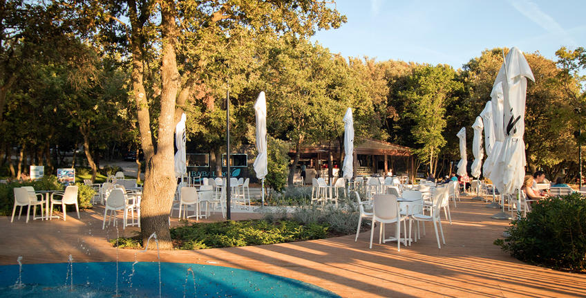 Beach bar Babaloo [2]