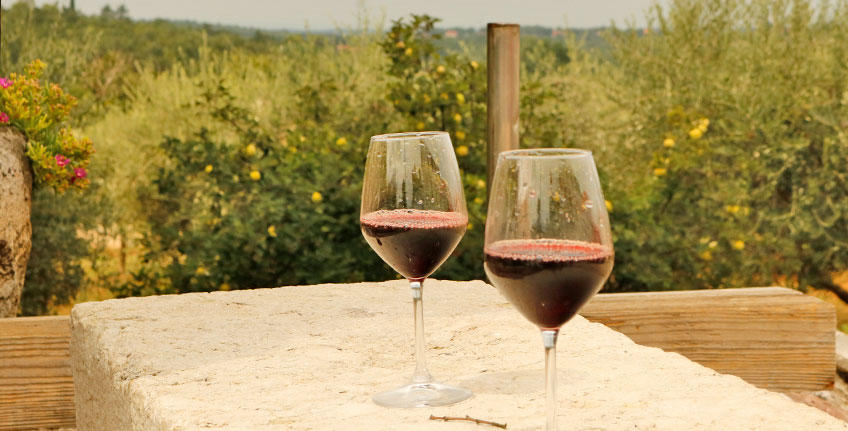 Wijnmakerij Giulio Ferenac [5]