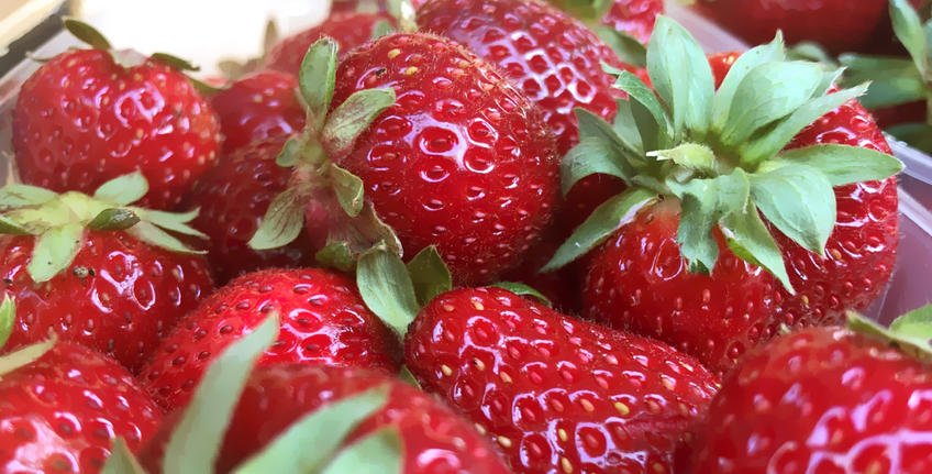 OPG Božić, Bale [9]